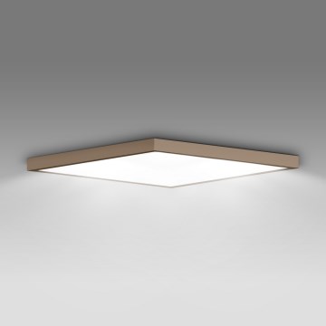 Brilagi - LED takarmatur för badrum FRAME LED/50W/230V 60x60 cm IP44 beige