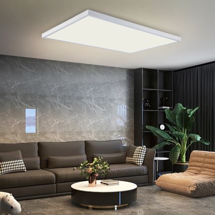 Brilagi - LED-badrumstaklampa FRAME LED/96W/230V 120x60 cm 3000/4000/6000K IP44 vit