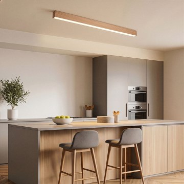 BRILAGI - LED-takarmatur GARDALINE LED/108W/230V ek