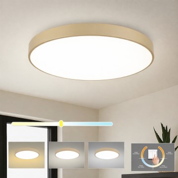 Brilagi - LED-takarmatur POOL LED/100W/230V 3000/4500/6000K Ø 80 cm, beige