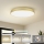 Brilagi - LED-takarmatur POOL LED/128W/230V 3000/4000/6000K Ø 100 cm guldig