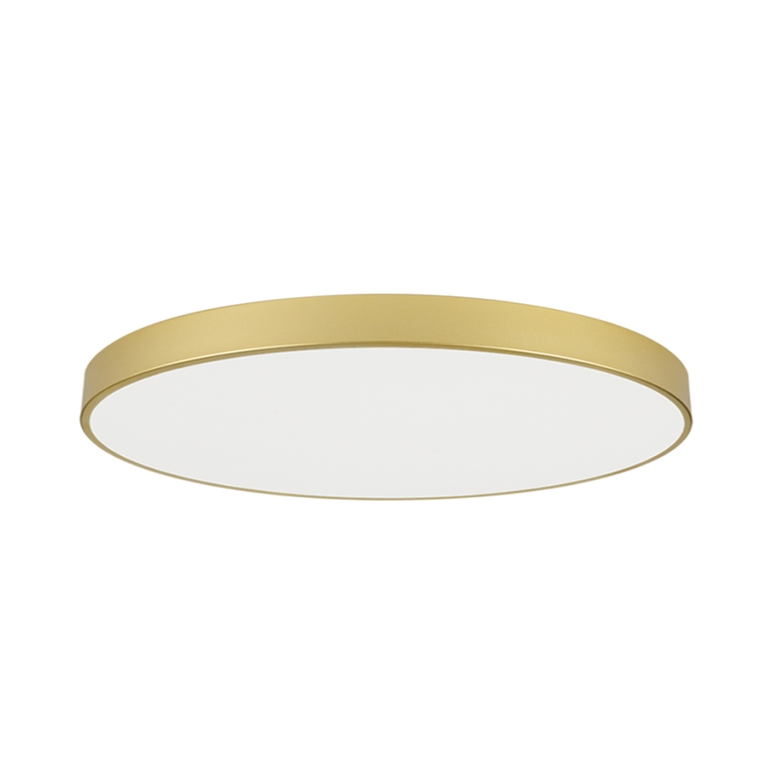Brilagi - LED-taklampa POOL LED/180W/230V 3000/4000/6000K Ø 120 cm guld