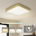 Brilagi - LED-takarmatur POOL LED/36W/230V 3000/4000/6000K 40x40 cm guld