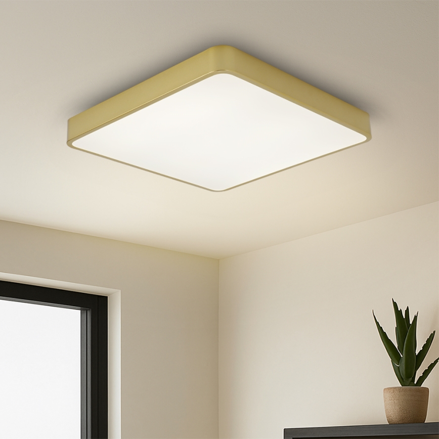 Brilagi - LED-takarmatur POOL LED/36W/230V 3000/4000/6000K 40x40 cm guld