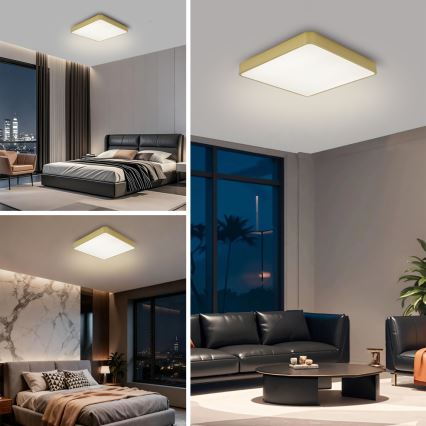 Brilagi - LED-takarmatur POOL LED/36W/230V 3000/4000/6000K 40x40 cm guld