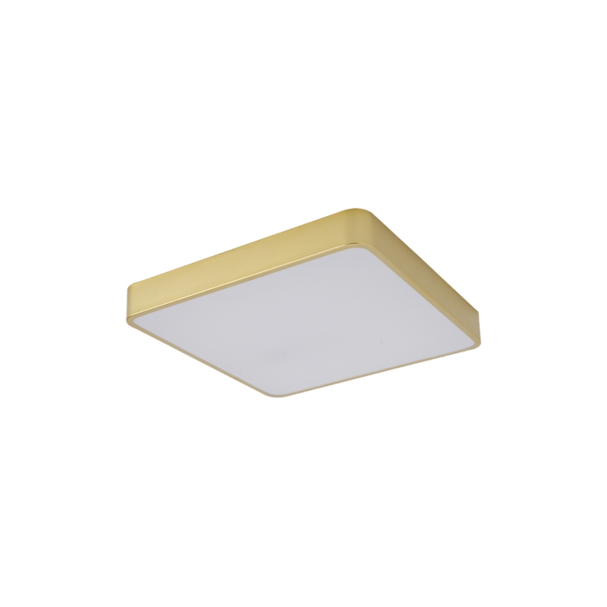 Brilagi - LED-takarmatur POOL LED/36W/230V 3000/4000/6000K 40x40 cm guld