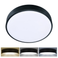 Brilagi - LED-takarmatur POOL LED/36W/230V 3000/4000/6000K Ø 30 cm svart