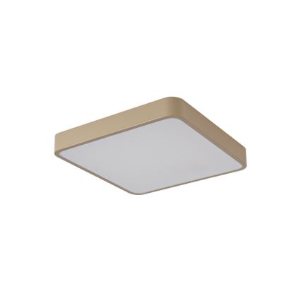 Brilagi - LED-takarmatur POOL LED/48W/230V 3000/4000/6000K 50x50 cm beige