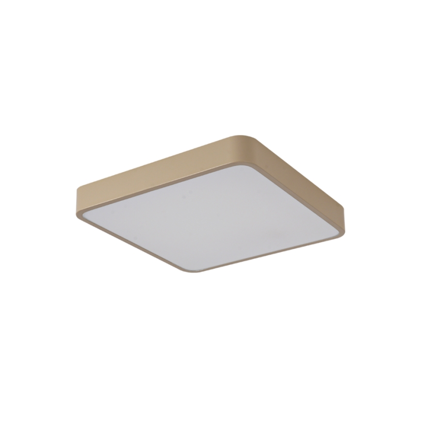 Brilagi - LED-takarmatur POOL LED/48W/230V 3000/4000/6000K 50x50 cm beige
