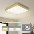 Brilagi - LED-takarmatur POOL LED/48W/230V 3000/4000/6000K 50x50 cm guldig