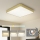 Brilagi - LED-takarmatur POOL LED/48W/230V 3000/4000/6000K 50x50 cm guldig