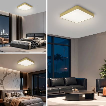 Brilagi - LED-takarmatur POOL LED/48W/230V 3000/4000/6000K 50x50 cm guldig