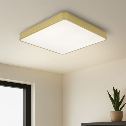 Brilagi - LED-takarmatur POOL LED/48W/230V 3000/4500/6000K 50x50 cm guldig