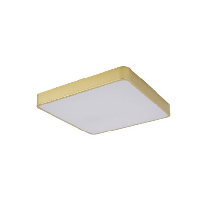 Brilagi - LED-takarmatur POOL LED/48W/230V 3000/4500/6000K 50x50 cm guldig