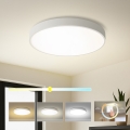 Brilagi - LED takarmatur POOL LED/60W/230V 3000/4000/6000K 50 cm vit