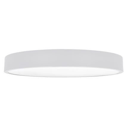 Brilagi - LED takarmatur POOL LED/60W/230V 3000/4000/6000K 50 cm vit