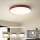 Brilagi - LED-takarmatur POOL LED/60W/230V 3000/4000/6000K Ø 50 cm bordeaux