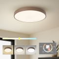 Brilagi - LED takarmatur POOL LED/60W/230V 3000/4000/6000K Ø 50 cm brun