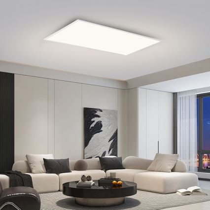 Brilagi - LED takarmatur SLIMFRAME LED/80W/230V 120x60 cm 3000/4000/6000K vit
