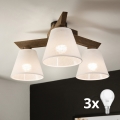 Brilagi - LED Taklampa ANTHONY 3xE14/40W/230V ek valnöt/vit