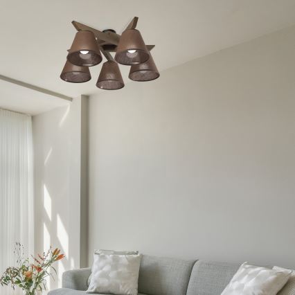 Brilagi - LED Taklampa ANTHONY 5xE14/40W/230V ek valnöt/brun