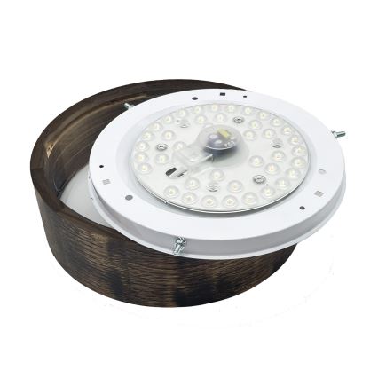 Brilagi - LED-taklampa CARVALHO SMOKEY LED/20W/230V ek Ø 27,5 cm