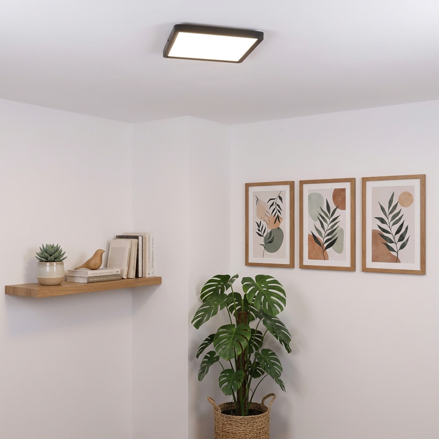 Brilagi - LED-taklampa ESTELA SQUARE LED/24W/230V 31x31 cm svart