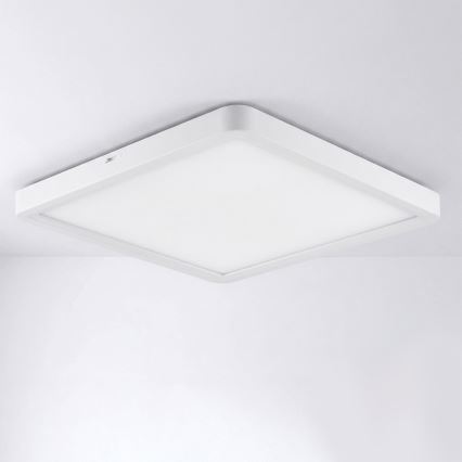 Brilagi - LED-taklampa ESTELA SQUARE LED/24W/230V 31x31 cm vit