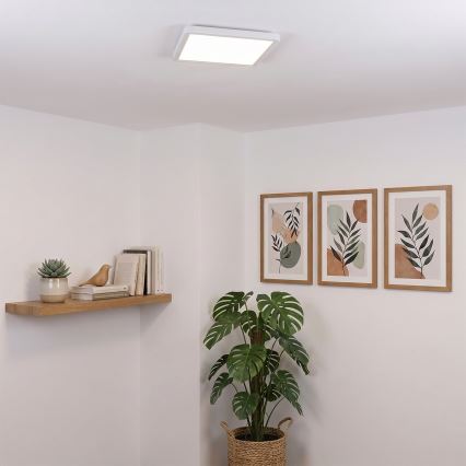 Brilagi - LED-taklampa ESTELA SQUARE LED/24W/230V 31x31 cm vit