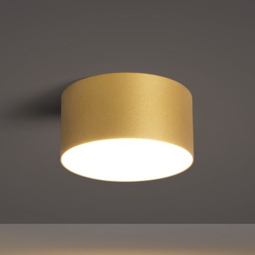 BRILAGI - LED Taklampa för badrum FORIS LED/14W/230V Ø 12 cm guldfärgad IP44