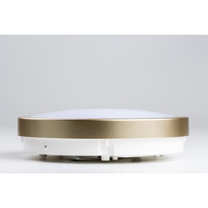 Brilagi - LED taklampa för badrum PERA LED/18W/230V diameter 22 cm IP65 guld