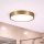 Brilagi - LED taklampa för badrum POOL LED/24W/230V 3000/4000/5500K Ø 30 cm IP54 mässing