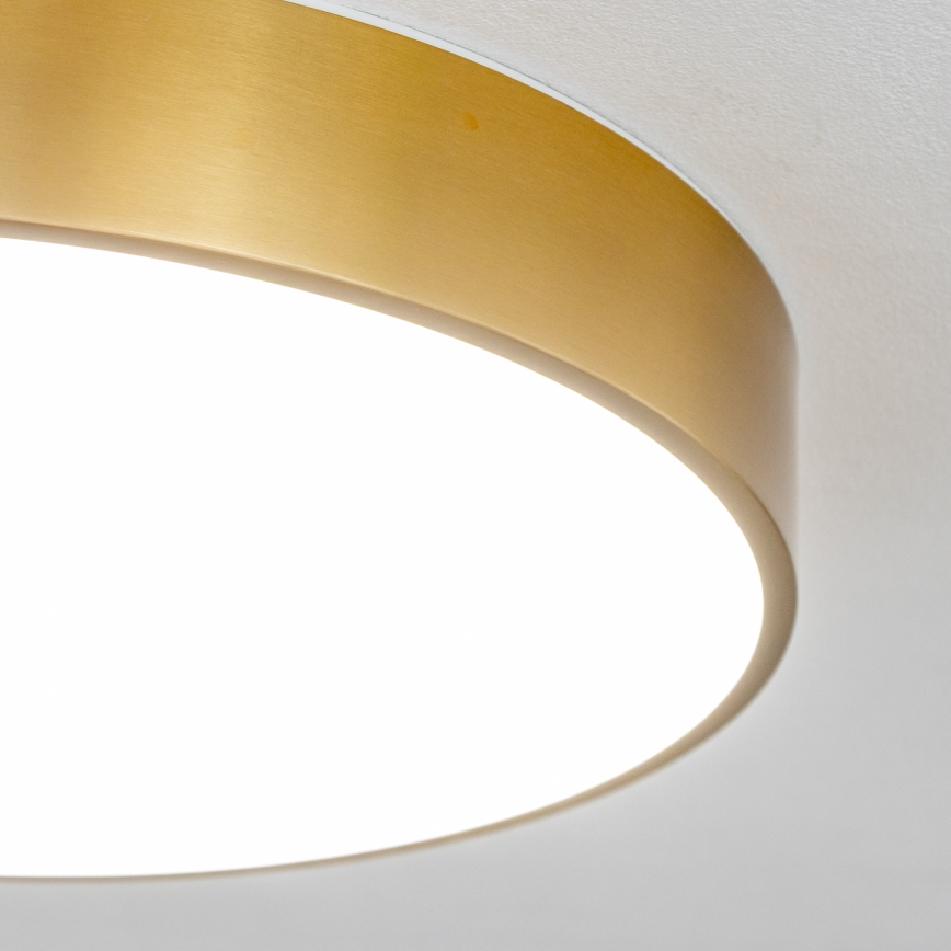 BRILAGI - LED taklampa för badrum POOL LED/36W/230V 3000/4000/5500K pr. 40 cm IP54 guld