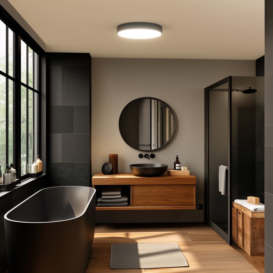 BRILAGI - LED taklampa för badrum POOL, 36 W, 230 V, 3000/4000/5500 K, Ø 40 cm, IP54, svart
