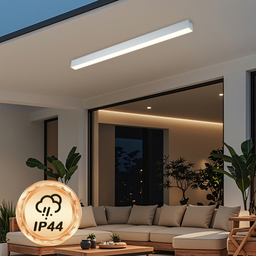 Brilagi - SLEEKLINE LED takarmatur för badrum LED/40W/230V 3000/4500/6000K silverfärgad IP44
