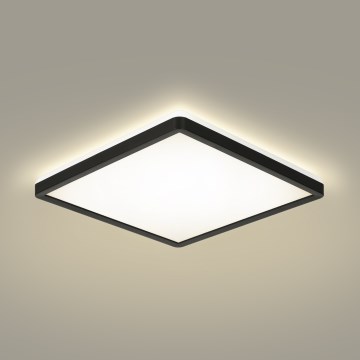 Brilagi - LED taklampa för badrum ULTRA SLIM LED/24W/230V 42x42 cm svart IP54