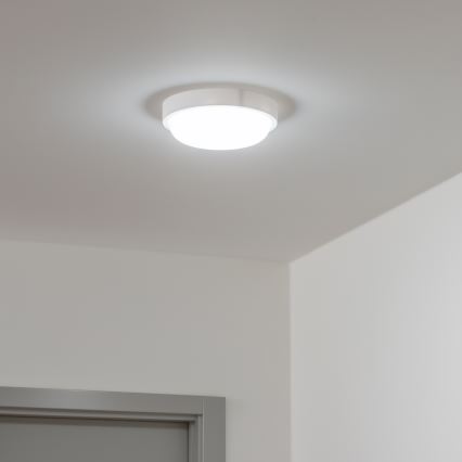 Brilagi - LED taklampa för utomhusbruk LED/13W/230V diameter 17 cm IP54