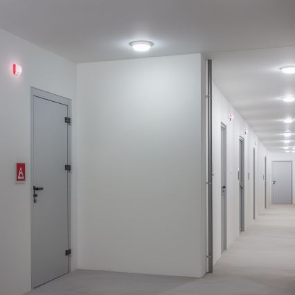 Brilagi - LED taklampa för utomhusbruk LED/13W/230V diameter 17 cm IP54