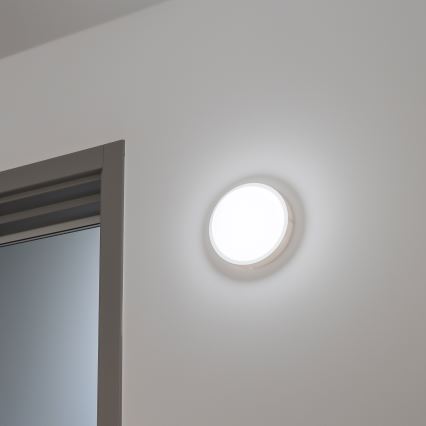 Brilagi - LED taklampa för utomhusbruk LED/13W/230V diameter 17 cm IP54