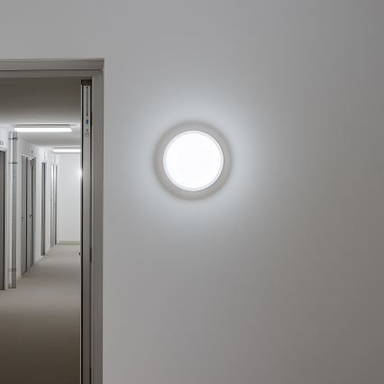 Brilagi - LED taklampa för utomhusbruk LED/13W/230V diameter 17 cm IP54