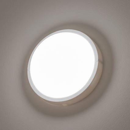 Brilagi - LED taklampa för utomhusbruk LED/13W/230V diameter 17 cm IP54