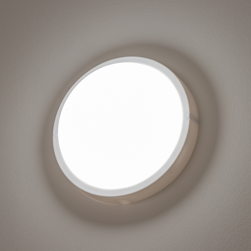 Brilagi - LED taklampa för utomhusbruk LED/13W/230V diameter 17 cm IP54