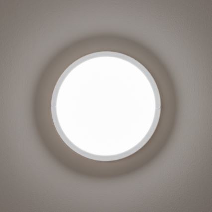 Brilagi - LED taklampa för utomhusbruk LED/13W/230V diameter 17 cm IP54