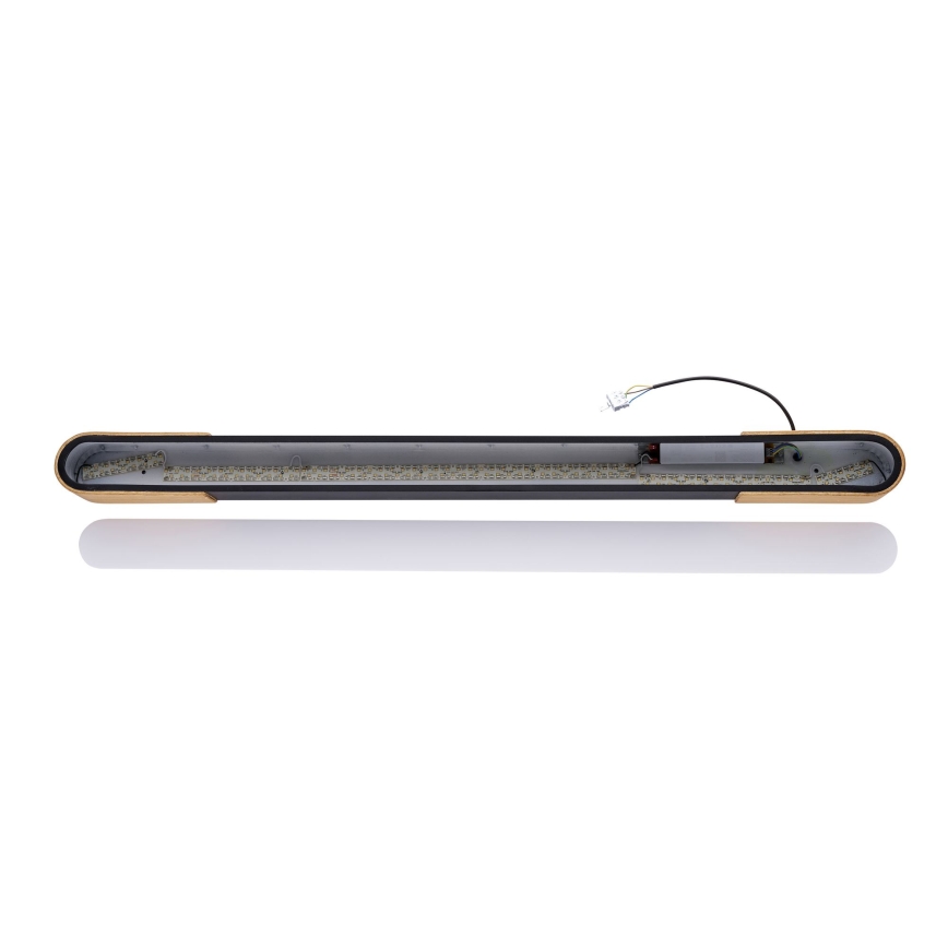 BRILAGI - LED Taklampa GARDALINE LED/100W/230V 120 cm ek/svart