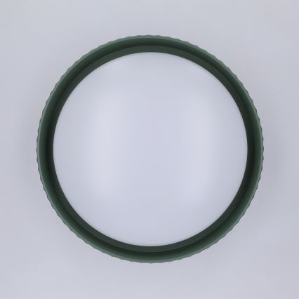 Brilagi - LED-taklampa LUCIA LED/24W/230V Ø31 cm grön