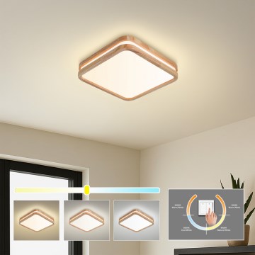 BRILAGI - LED-taklampa MOLINA SQUARE LED/32W/230V 3000/4000/6000K ek 30x30 cm