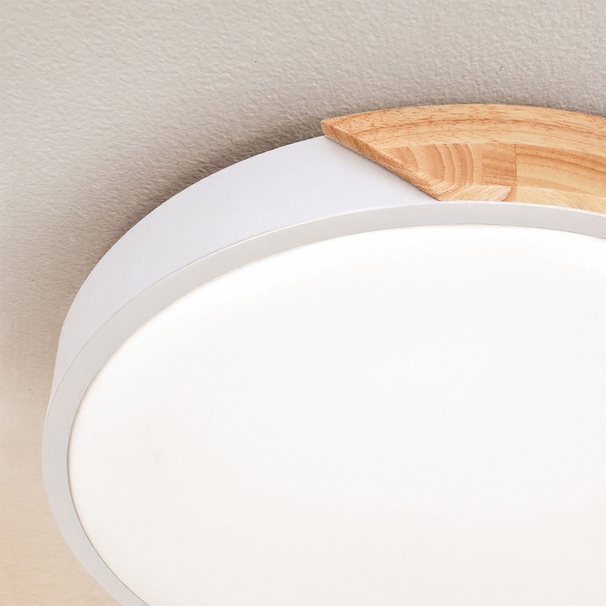 Brilagi - LED taklampa PILANA LED/24W/230V ek/vit Ø 30 cm