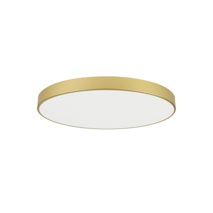 Brilagi - LED taklampa POOL LED/100W/230V 3000/4000/6000K Ø 80 cm guld