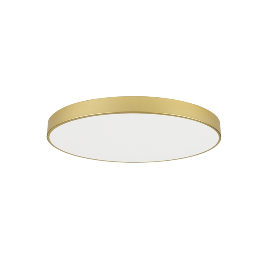 Brilagi - LED taklampa POOL LED/100W/230V 3000/4000/6000K Ø 80 cm guld