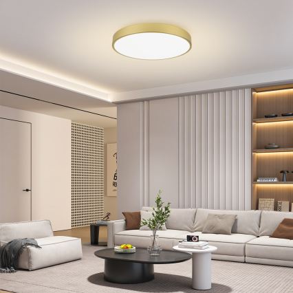 Brilagi - LED taklampa POOL LED/100W/230V 3000/4500/6000K Ø 80 cm guld